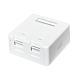 Keystone-Verteilerdose 2 Ports unbestückt