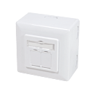 Aufputzdose CAT 6 / Class E 2-fach, geschirmt, 2 x RJ45, Farbe Weiß
